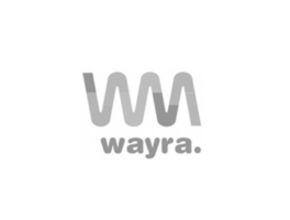 Colorimetrix joins Wayra